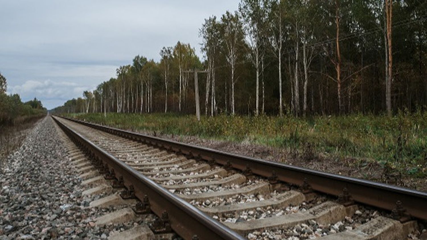 rails 2